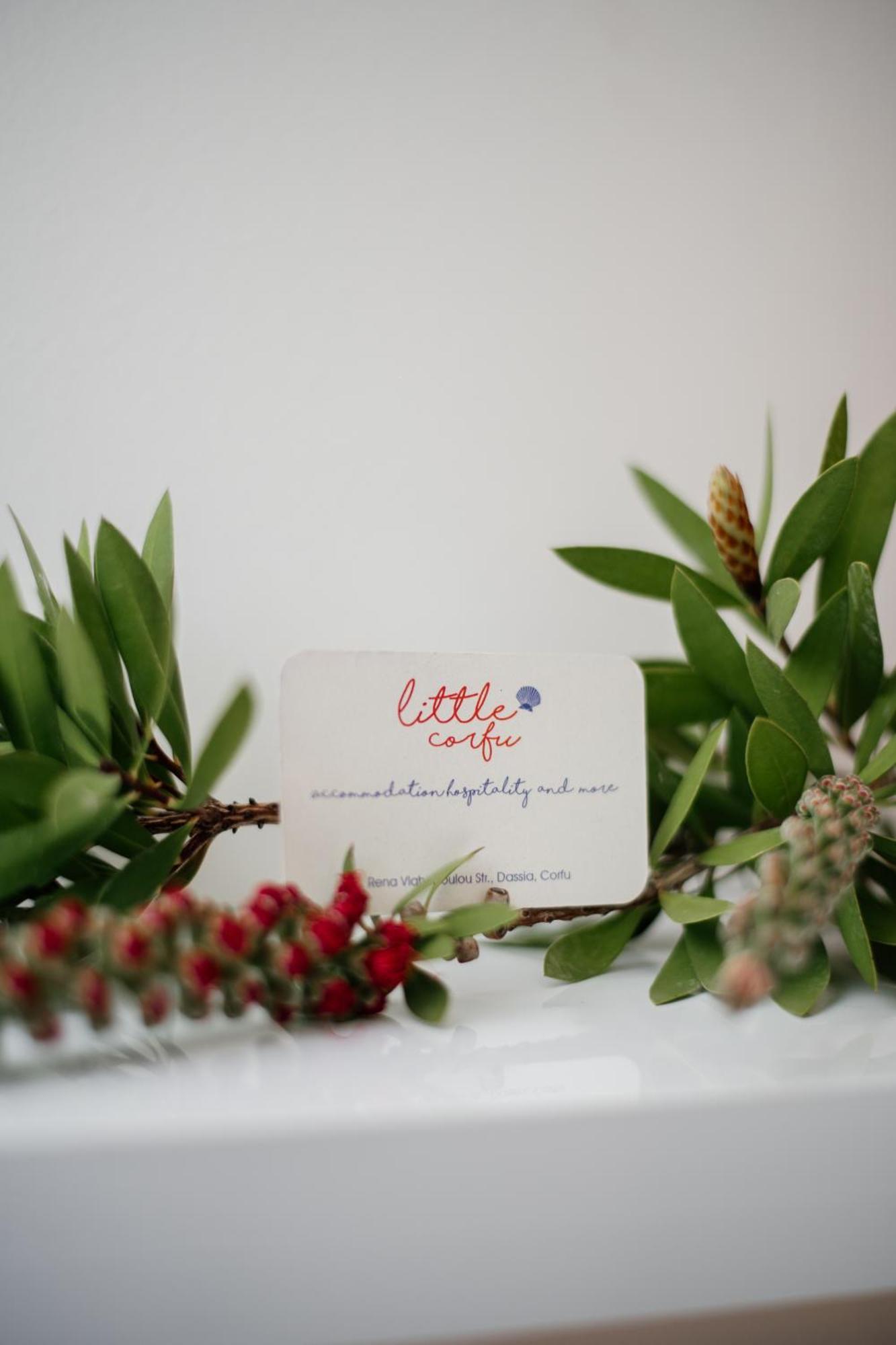 Little Corfu Aparthotel Dasziá Kültér fotó